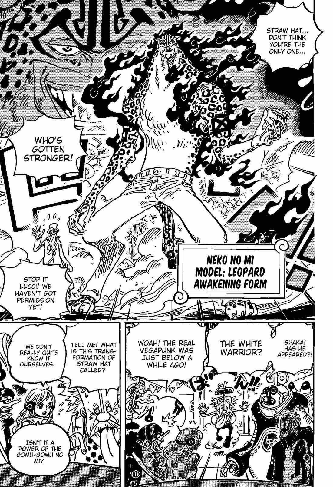 One Piece, Chapter 1069 image 08