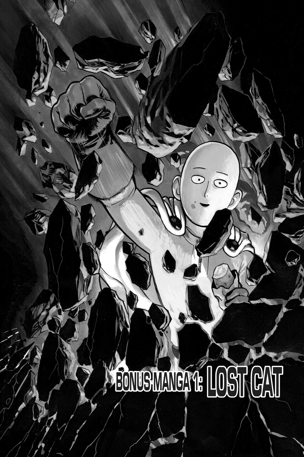 One-Punch Man, Punch 40.5 image 01