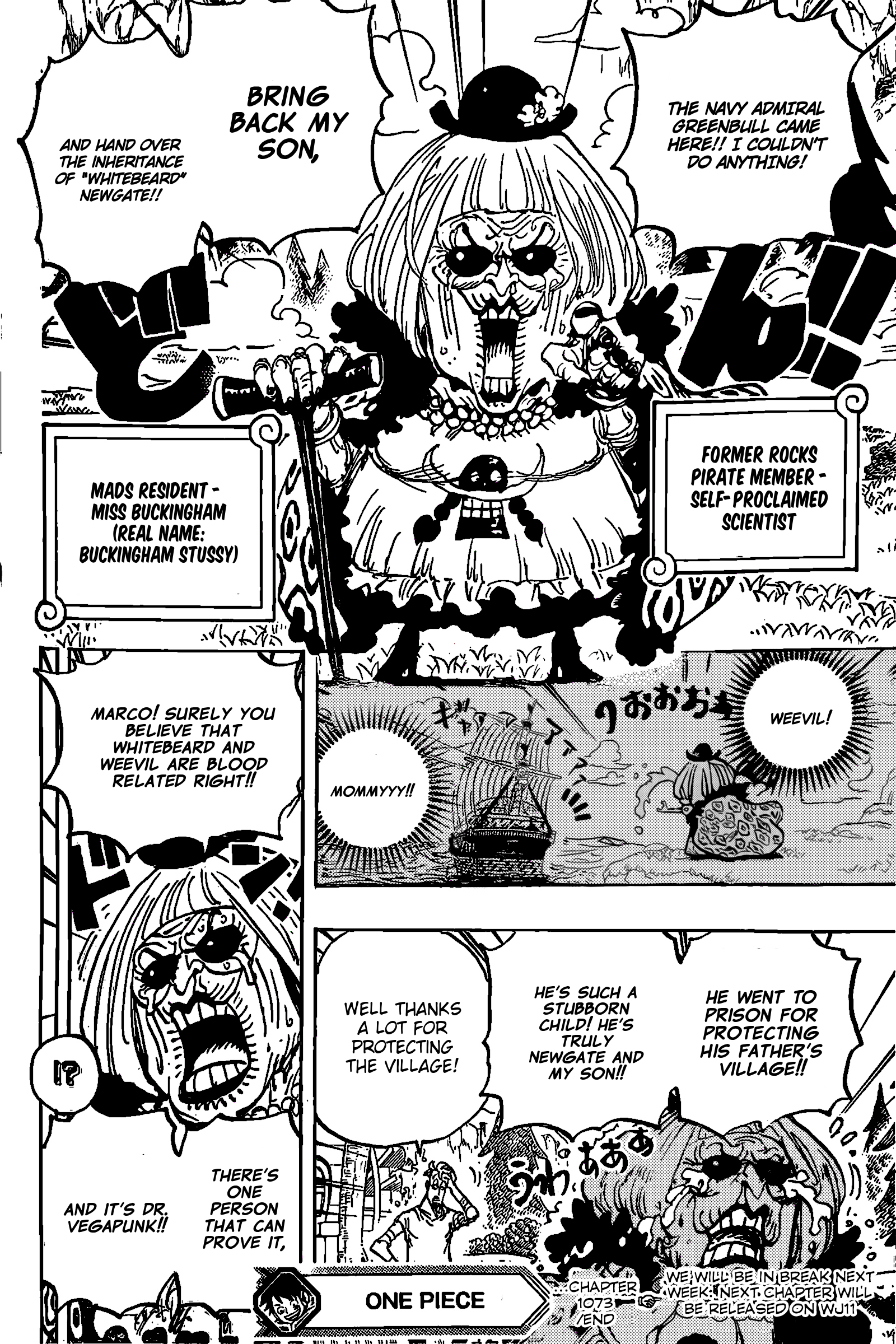 One Piece, Chapter 1072.1 image 15