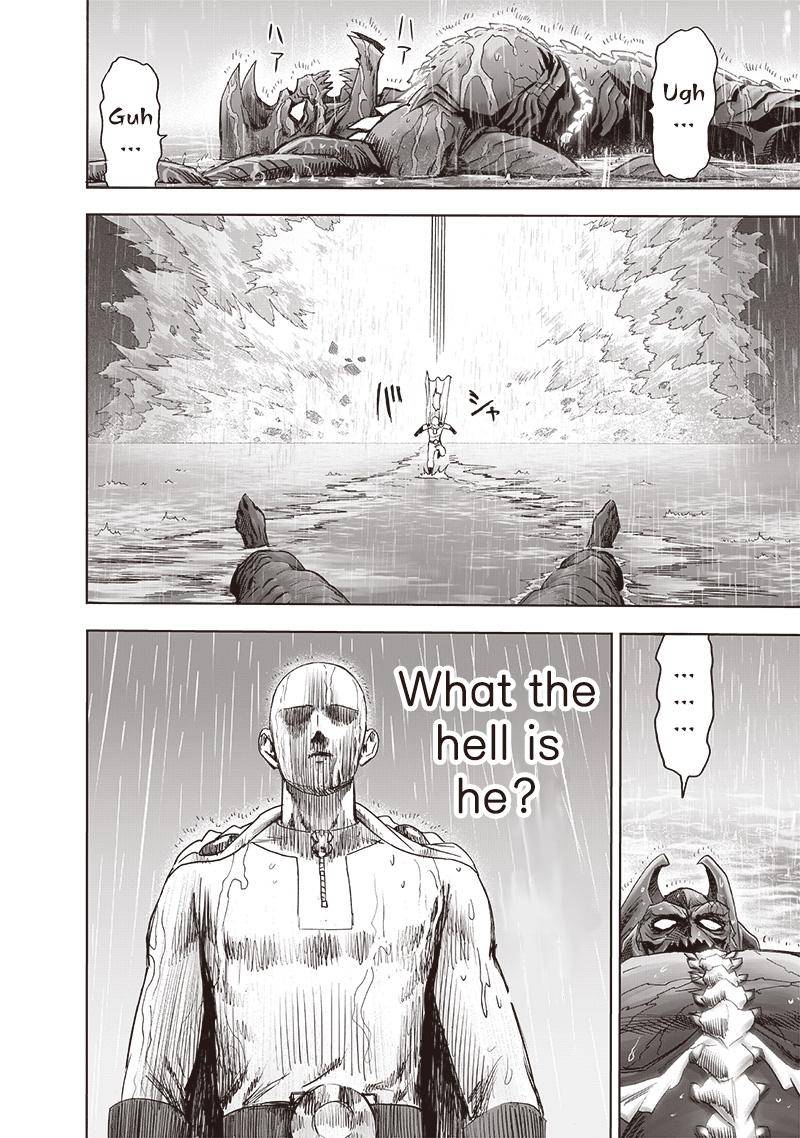 One Punch Man, Chapter 164.1 image 25