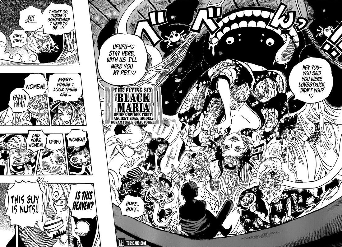 One Piece, Chapter 998 image 10