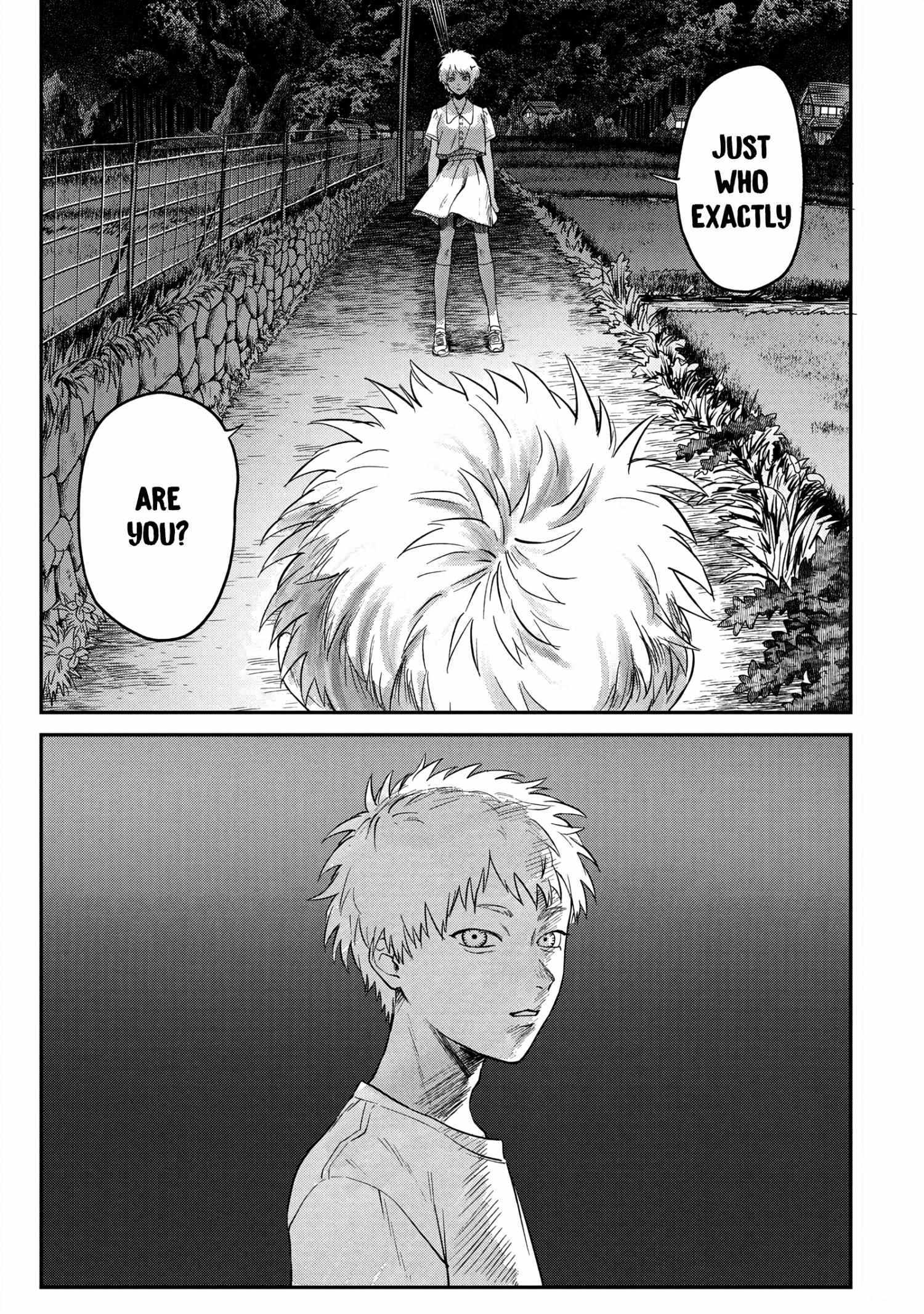 The Summer Hikaru Died, Chapter 15 image 13