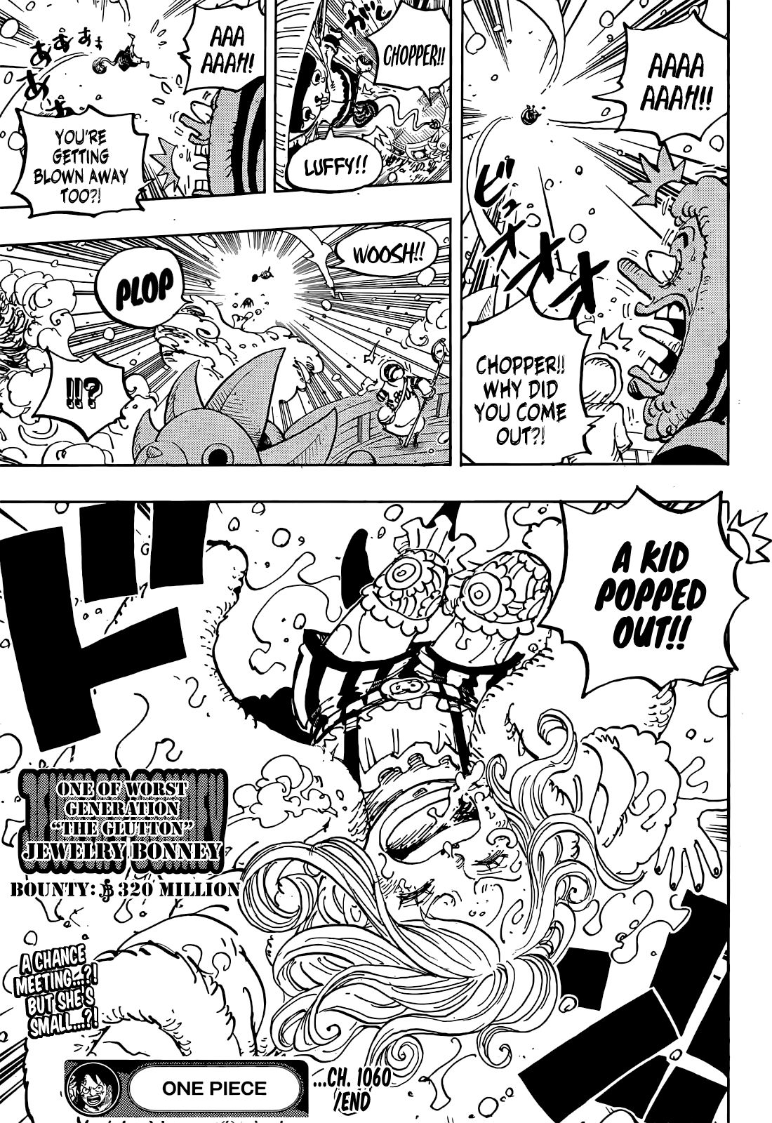 One Piece, Chapter 1060 image 17