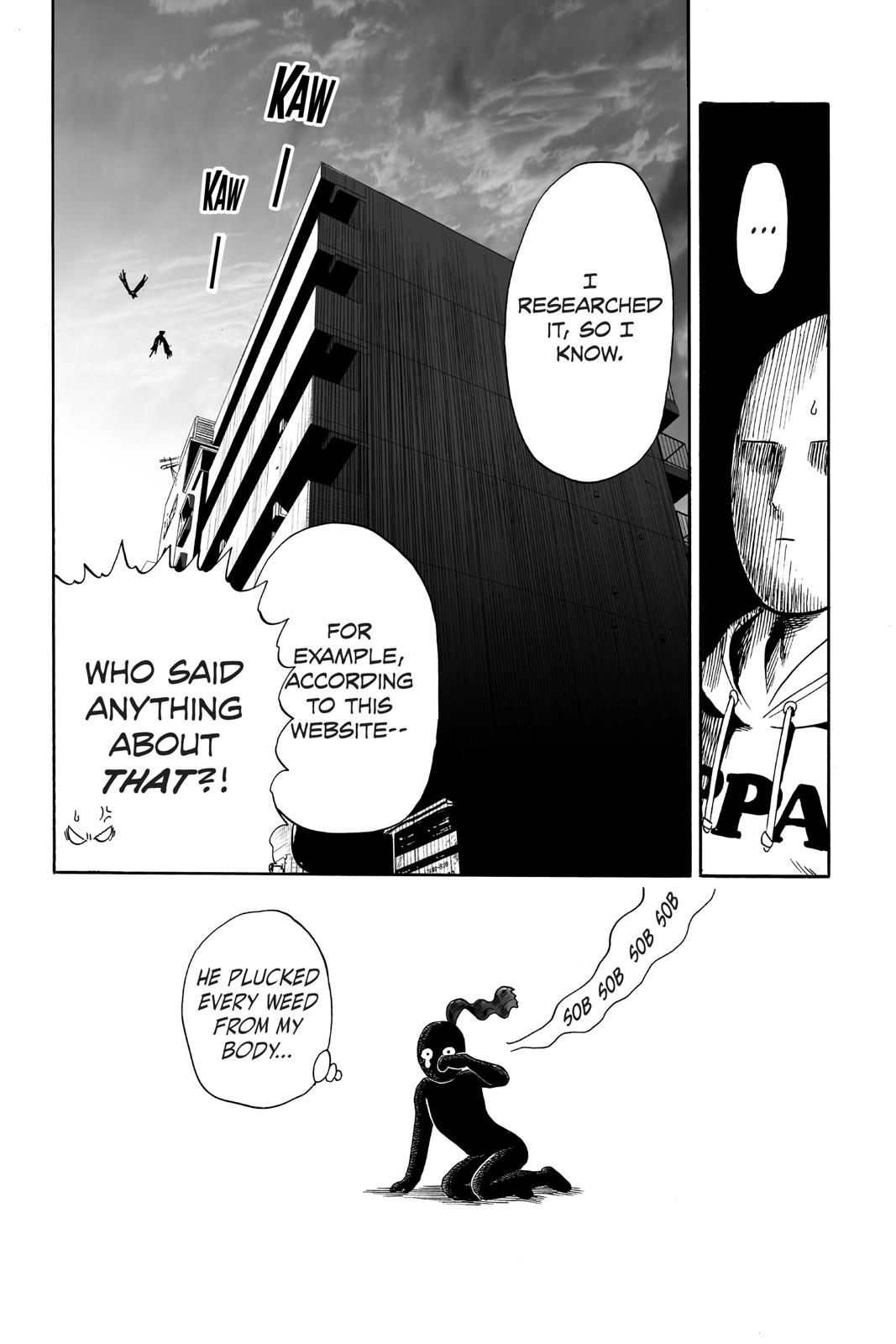 One-Punch Man, Punch 20 image 39