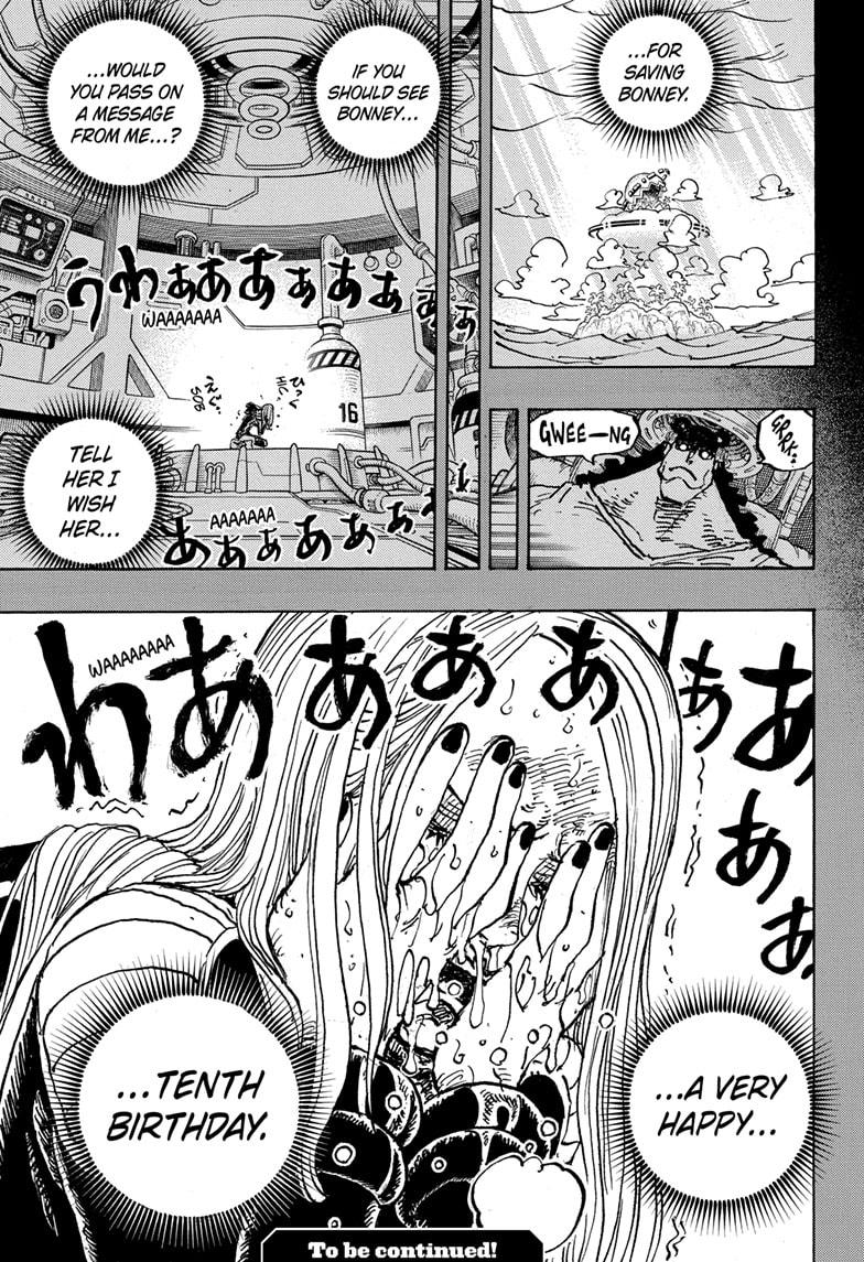 One Piece, Chapter 1102 image 17