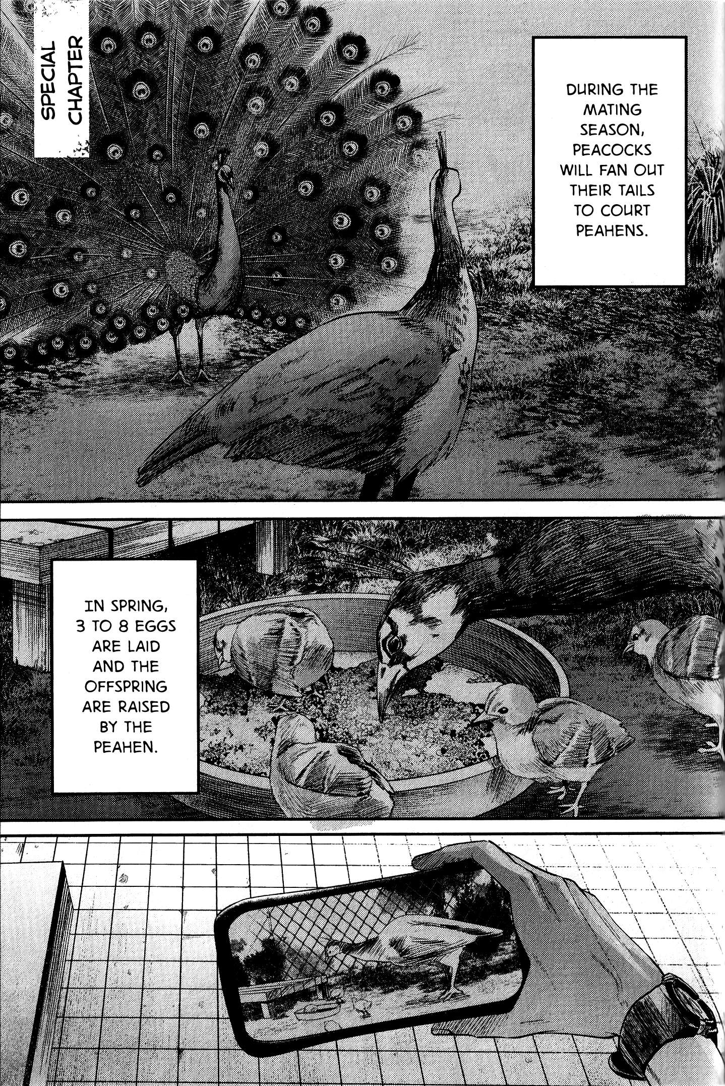The Summer Hikaru Died, Chapter 11.7 image 03