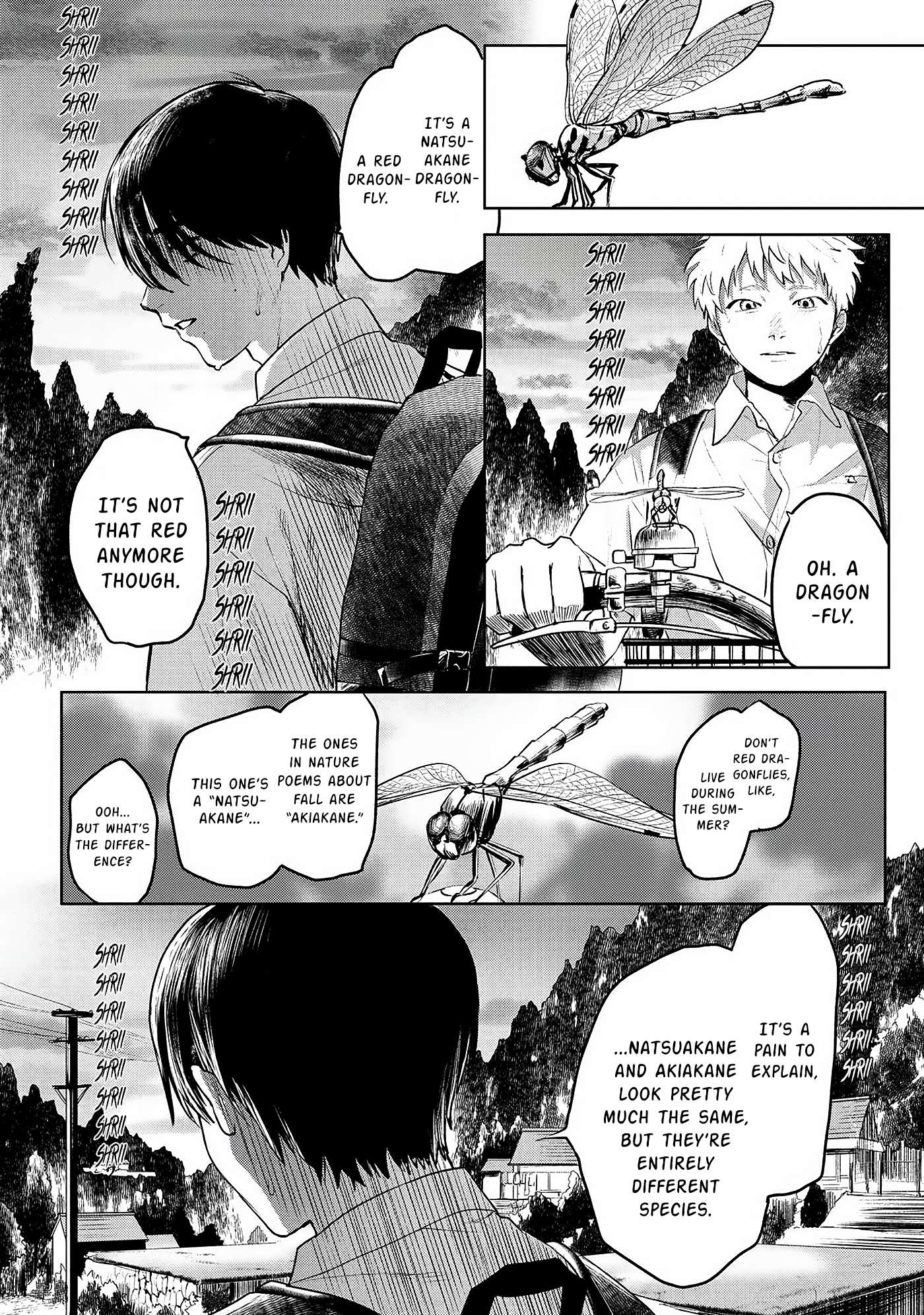 The Summer Hikaru Died, Chapter 2 image 12