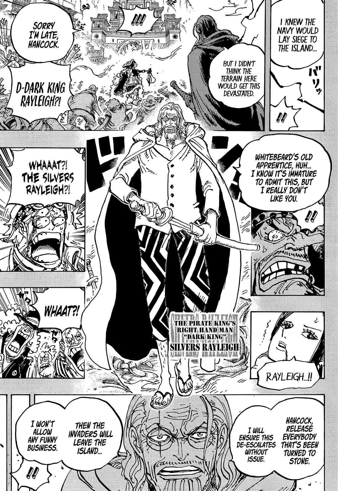 One Piece, Chapter 1059 image 15