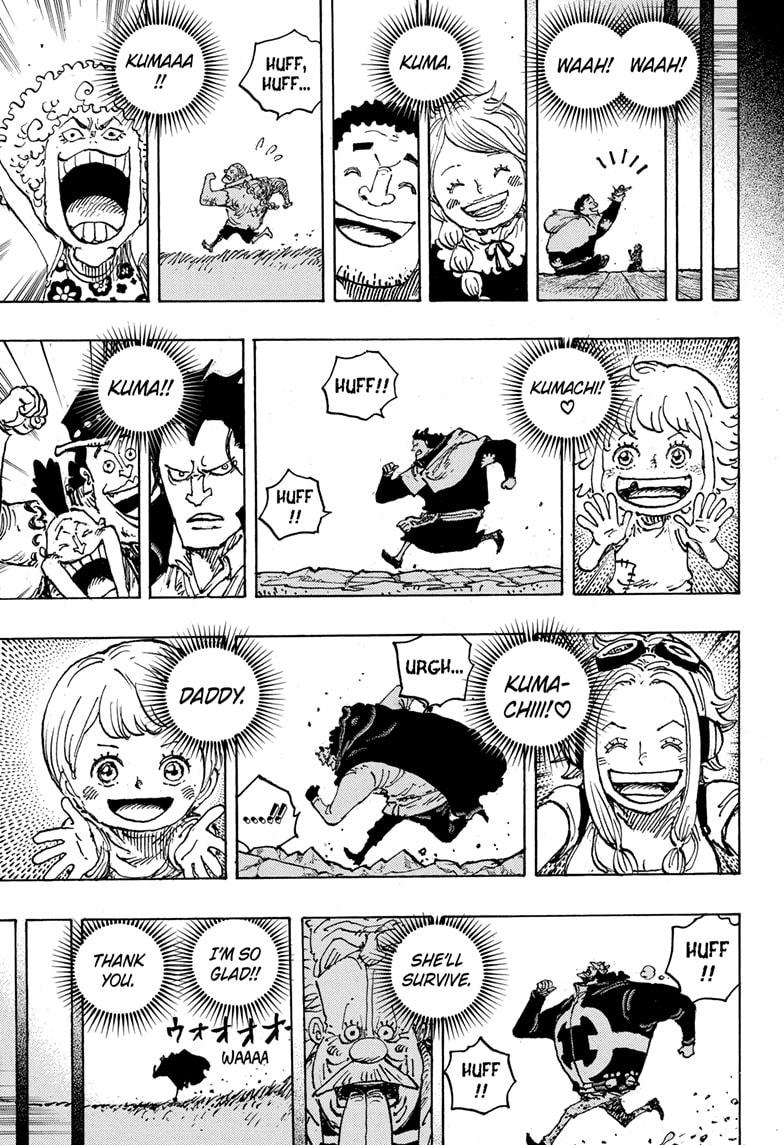 One Piece, Chapter 1102 image 15