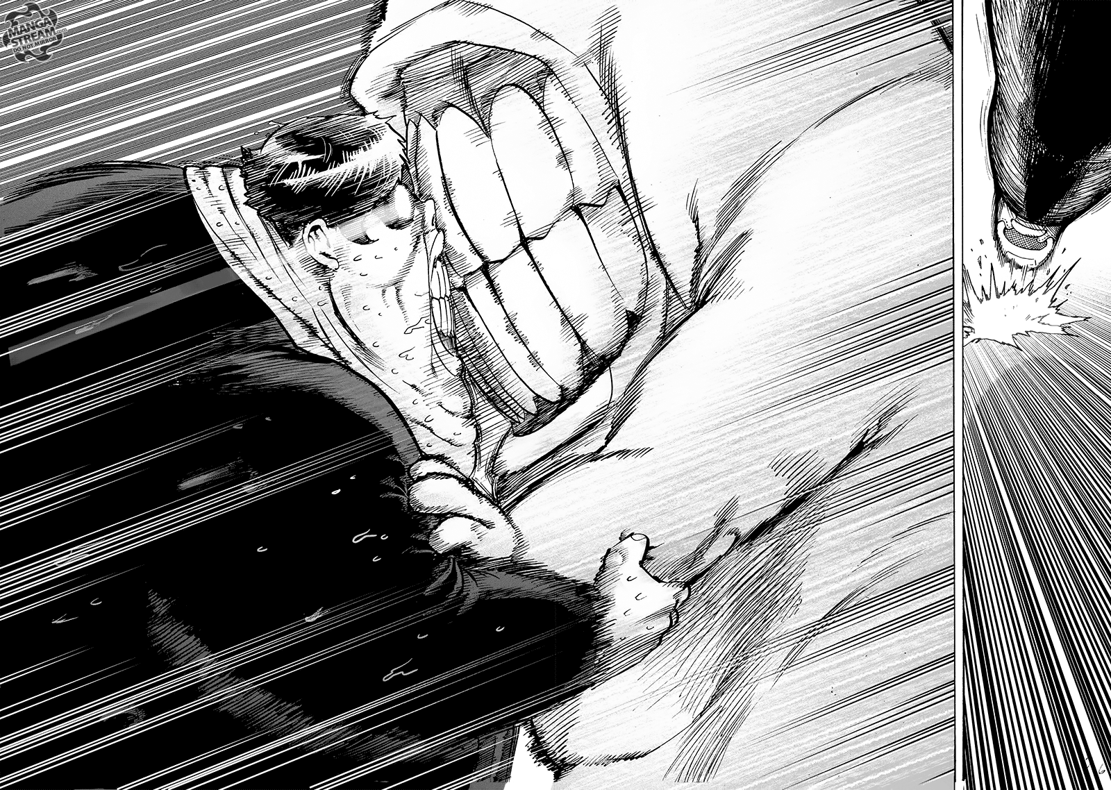 One Punch Man, Chapter 114 image 10