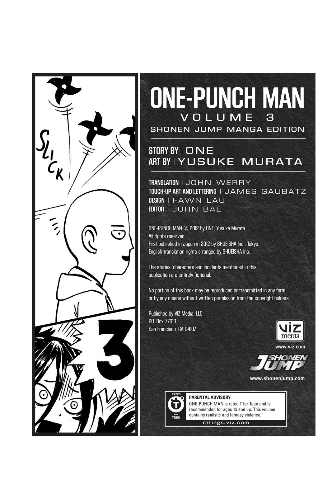 One-Punch Man, Punch 20.6 image 31